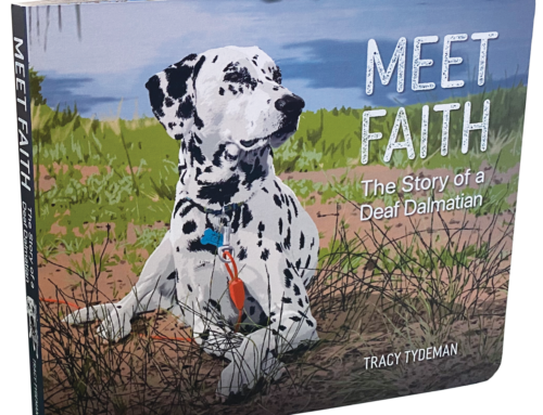 Meet Faith Children’s Book