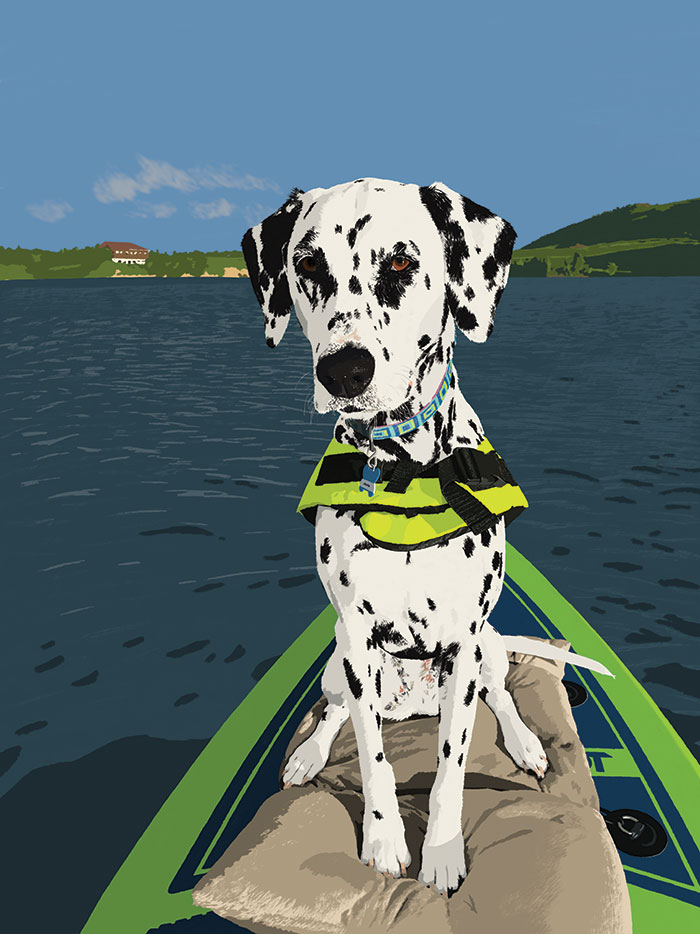 Final drawing of Faith the Dalmatian sitting on a paddleboard